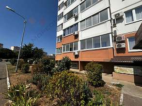 Свободное назначение, 11 м