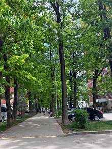 Свободное назначение, 13 м