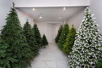 Торговое помещение, 63 м