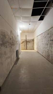 Свободное назначение, 550 м