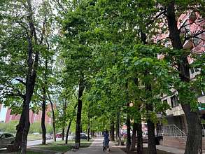 Свободное назначение, 13 м