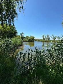 Общепит, 546 м