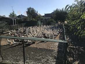 Производство, 87 м