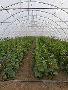 Производство, 3 500 м