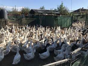 Производство, 87 м