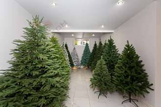 Торговое помещение, 63 м