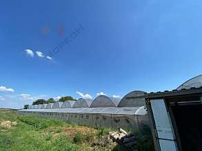 Дом, 1 этаж, 53 м2, 45 сот.