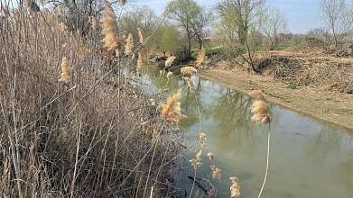 Земельный участок, 62 сот.