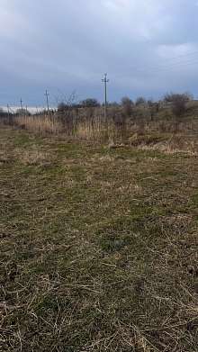 Земельный участок, 25 сот.