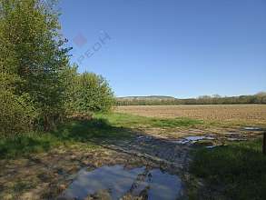 Земельный участок, 45 сот.