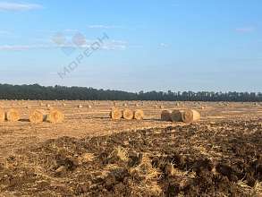 Земельный участок, 20 сот.