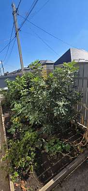 Дом, 1 этаж, 105 м2, 3 сот.