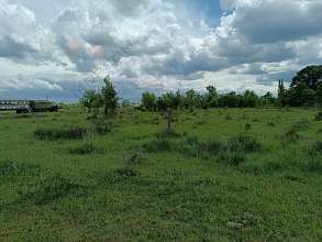 Земельный участок, 26 сот.