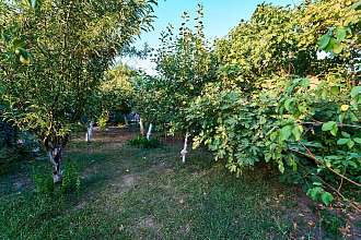 Дом, 3 этажа, 341 м2, 14 сот.