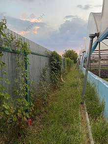 Дом, 1 этаж, 53 м2, 45 сот.