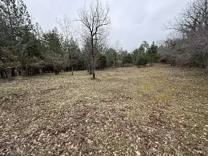 Земельный участок, 105 сот.