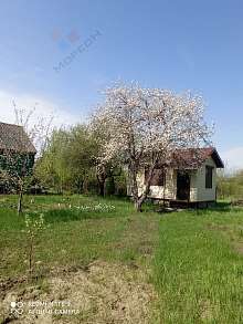 Дача, 1 этаж, 20 м2, 6 сот.