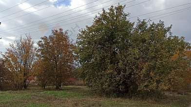 Земельный участок, 6 сот.