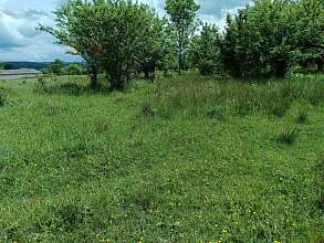 Земельный участок, 26 сот.