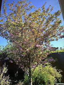 Дом, 2 этажа, 92 м2, 7 сот.