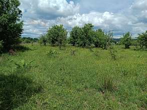 Земельный участок, 26 сот.