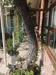 Дом, 2 этажа, 338 м2, 8 сот.