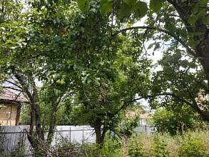 Дача, 1 этаж, 30 м2, 4 сот.