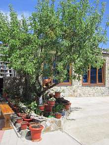 Дом, 2 этажа, 338 м2, 8 сот.