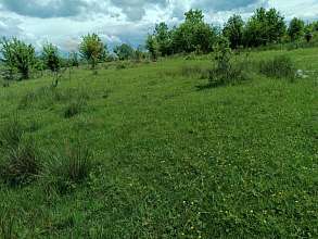 Земельный участок, 26 сот.