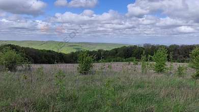 Земельный участок, 822 сот.