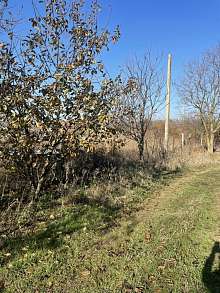 Земельный участок, 9 сот.