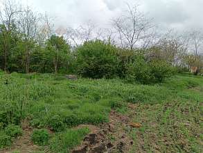 Земельный участок, 26 сот.