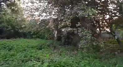 Дом, 1 этаж, 26 м2, 18 сот.