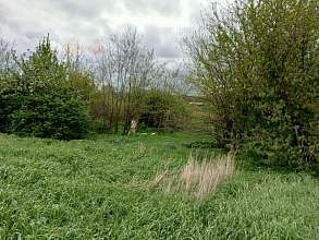 Земельный участок, 26 сот.