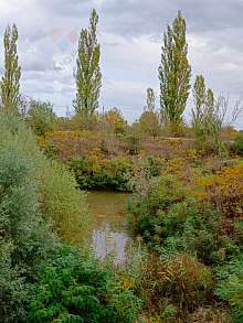 Земельный участок, 163 сот.