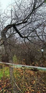 Дом, 1 этаж, 26 м2, 18 сот.