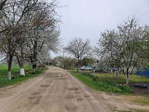 Дом, 1 этаж, 37 м2, 12 сот.