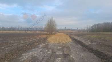 Земельный участок, 88 сот.