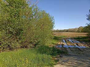 Земельный участок, 45 сот.