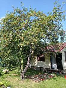 Дача, 1 этаж, 20 м2, 6 сот.