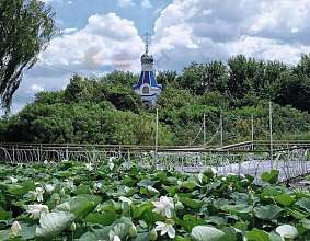 Дача, 1 этаж, 14 м2, 9 сот.