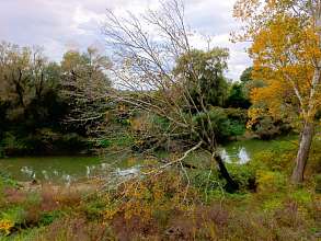 Земельный участок, 163 сот.