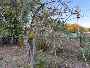 Земельный участок, 6 сот.