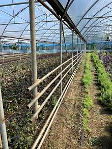 Дом, 1 этаж, 53 м2, 45 сот.