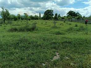 Земельный участок, 26 сот.