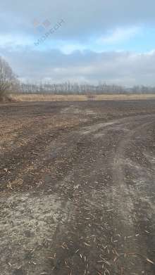 Земельный участок, 88 сот.