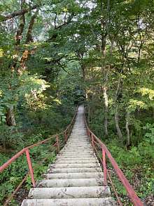 Дом, 2 этажа, 440 м2, 8 сот.