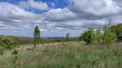 Земельный участок, 822 сот.