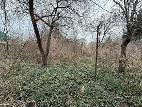 Дом, 1 этаж, 21 м2, 6 сот.