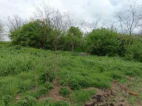 Земельный участок, 26 сот.